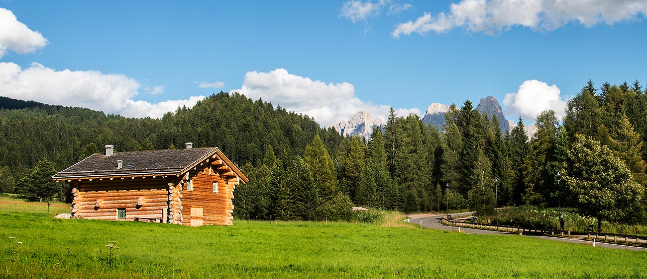 Eine Holzhütte im Dorf Bellamonte in Val di Fiemme