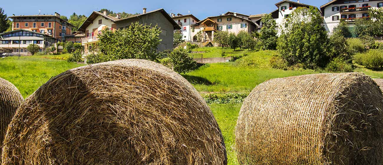 Hay bales and some houses in the background
