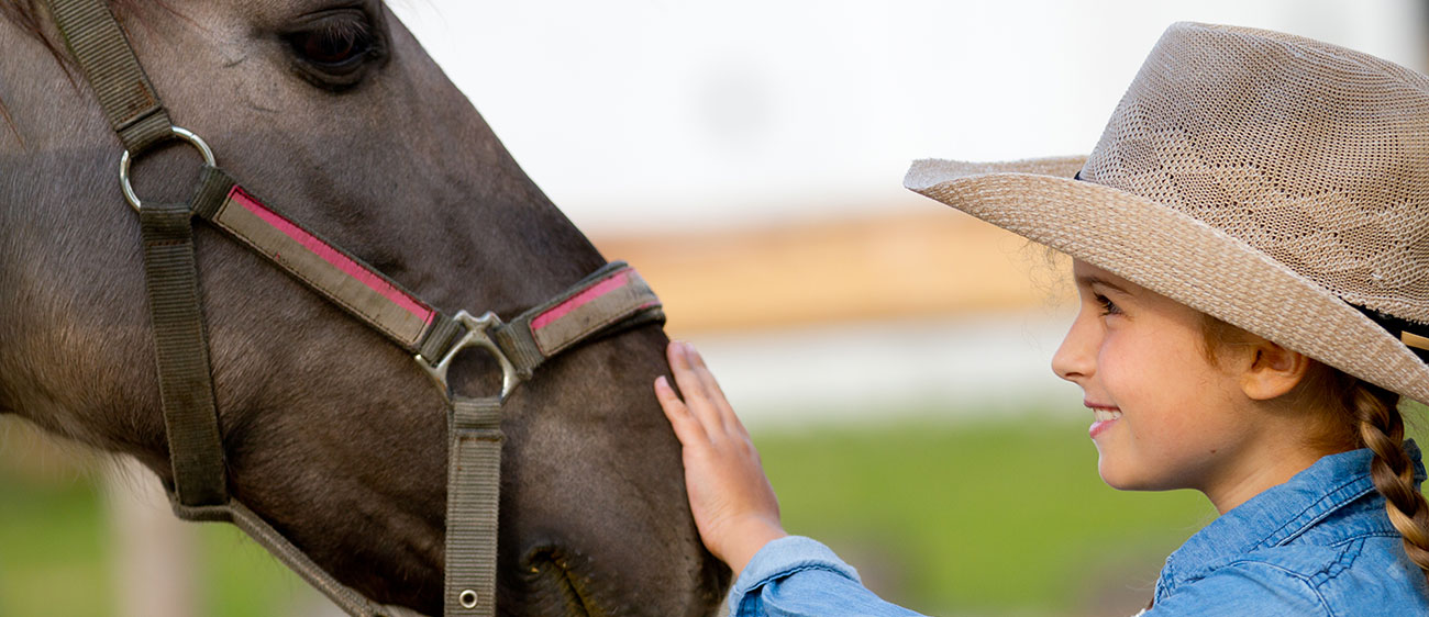 A little girl petting a horse on the nose