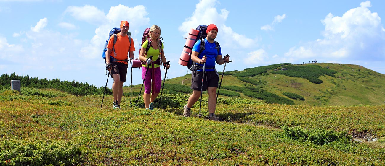 Three hikers with walking sticks on the trails of the Val di Fiemme