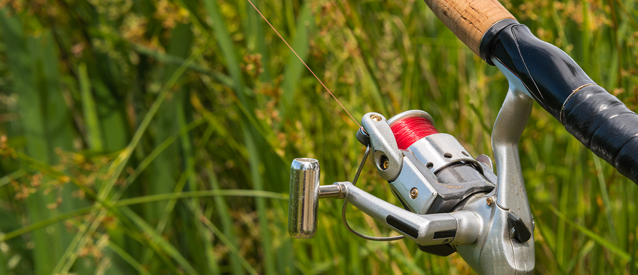 Detail of a reel of a fishing rod