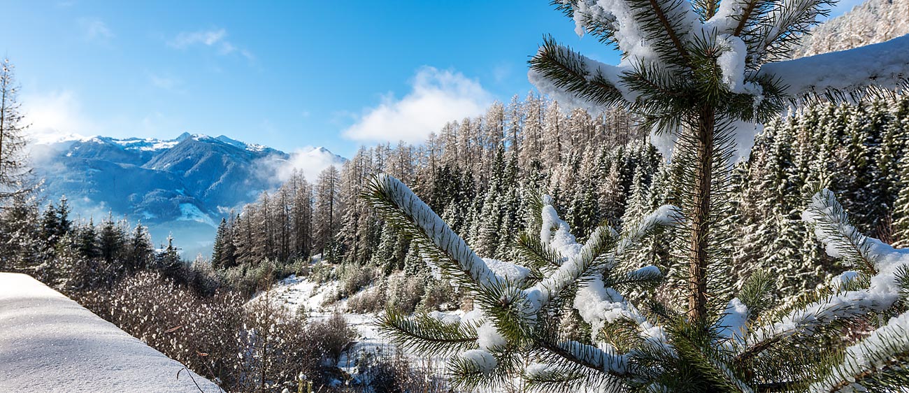 Winter in the Fiemme Valley