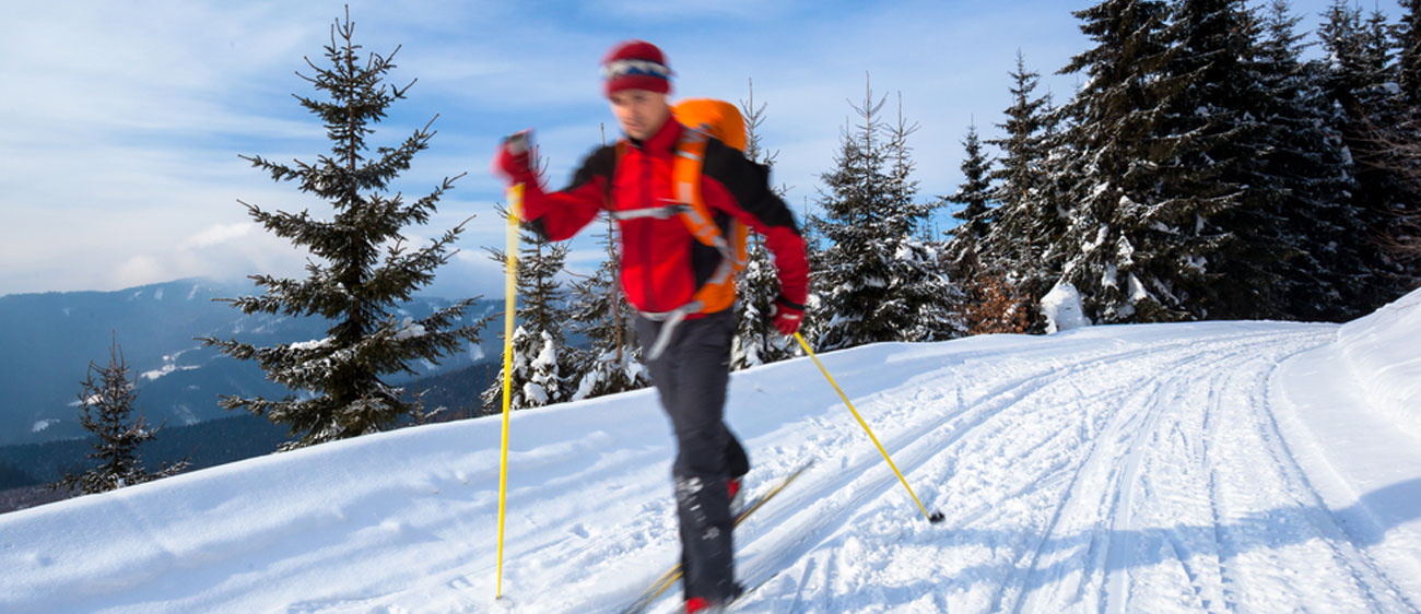 Eine Person auf einer Langlaufloipe in der Val di Fiemme