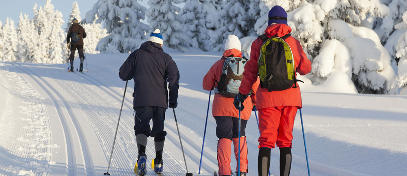 Gruppo di quattro persone sulle piste da sci di fondo della Val di Fiemme