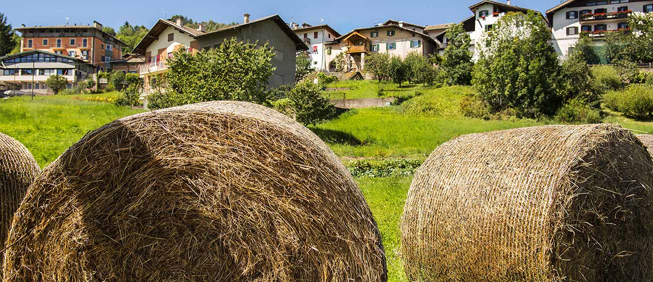 Heuballen und einige Häuser im Hintergrund