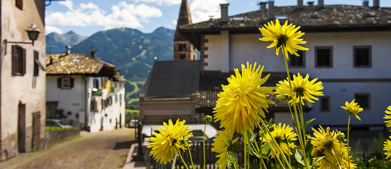 Yellow flowers in the foreground and a glimpse of the village of Varena