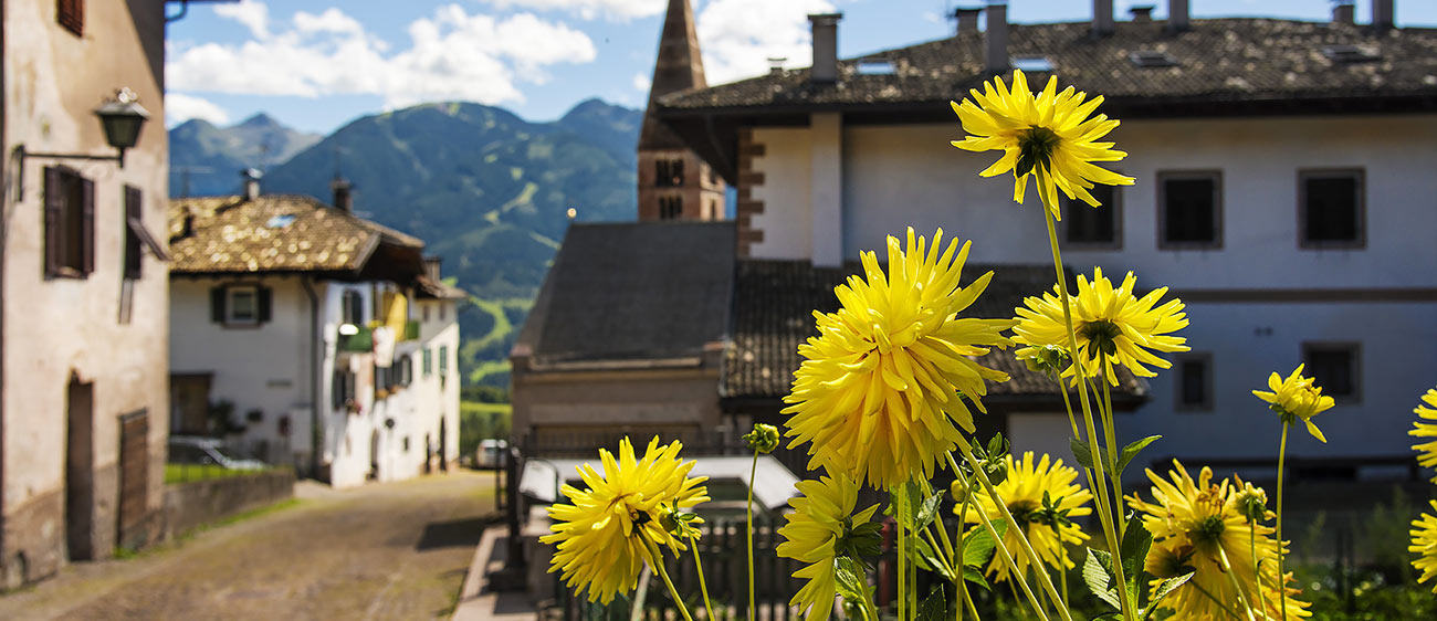 Fiori gialli in primo piano e uno scorcio del paese di Varena